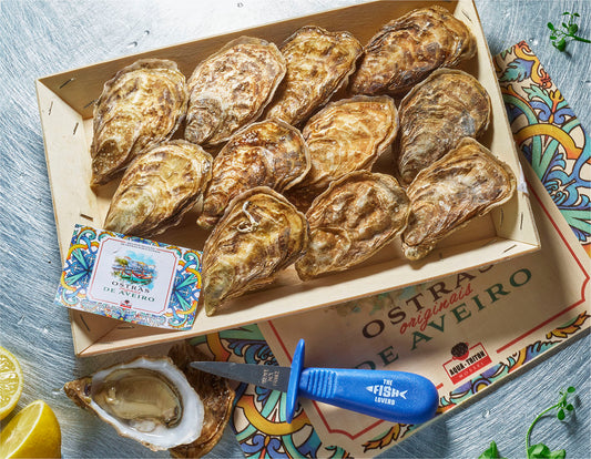 Ostras de Aveiro Nr. 3