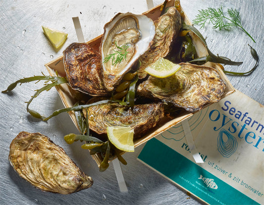 Ierse Tafeloester nr. 2