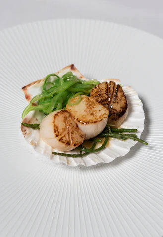 coquilles met zeekraal