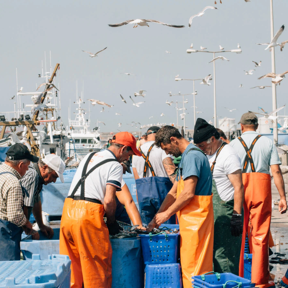 Havenarbeiders bij blauwe viskisten