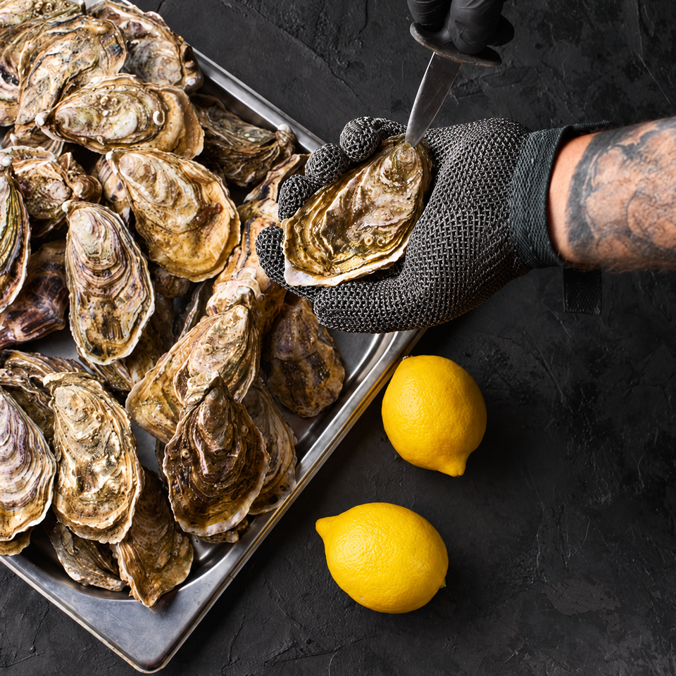 De Zeeuwse Oester: het verhaal van zaad tot schelp