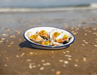 Hoe kun je oesters het beste bewaren? Onze tips!