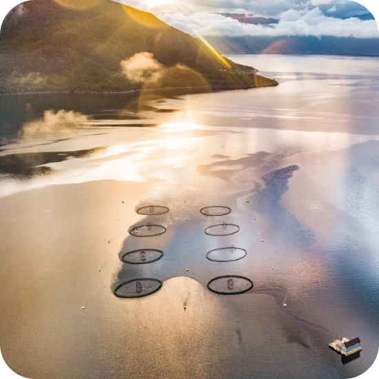 Zalmkwekerij Noorse fjorden