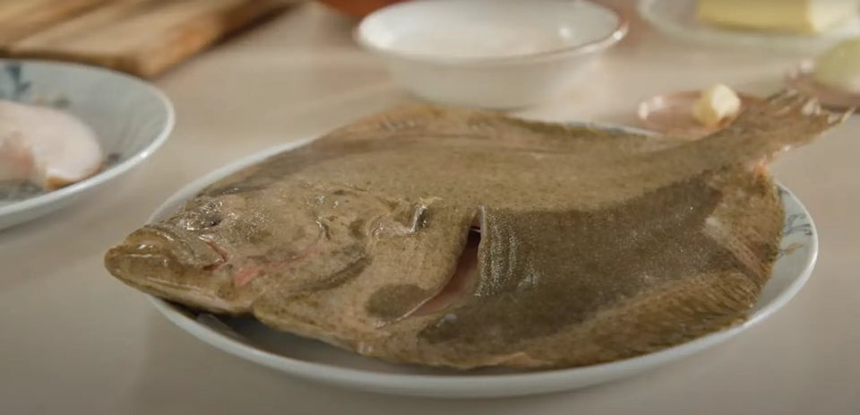 Tarbot, nu ook een versie vanuit de Aqua Cultuur