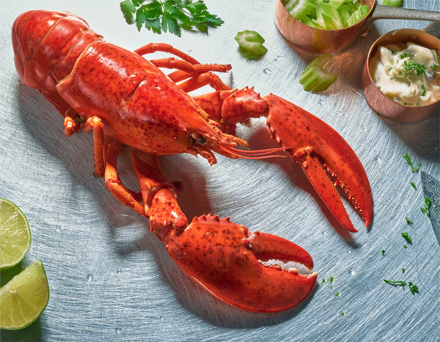 Schaal- en schelpdieren