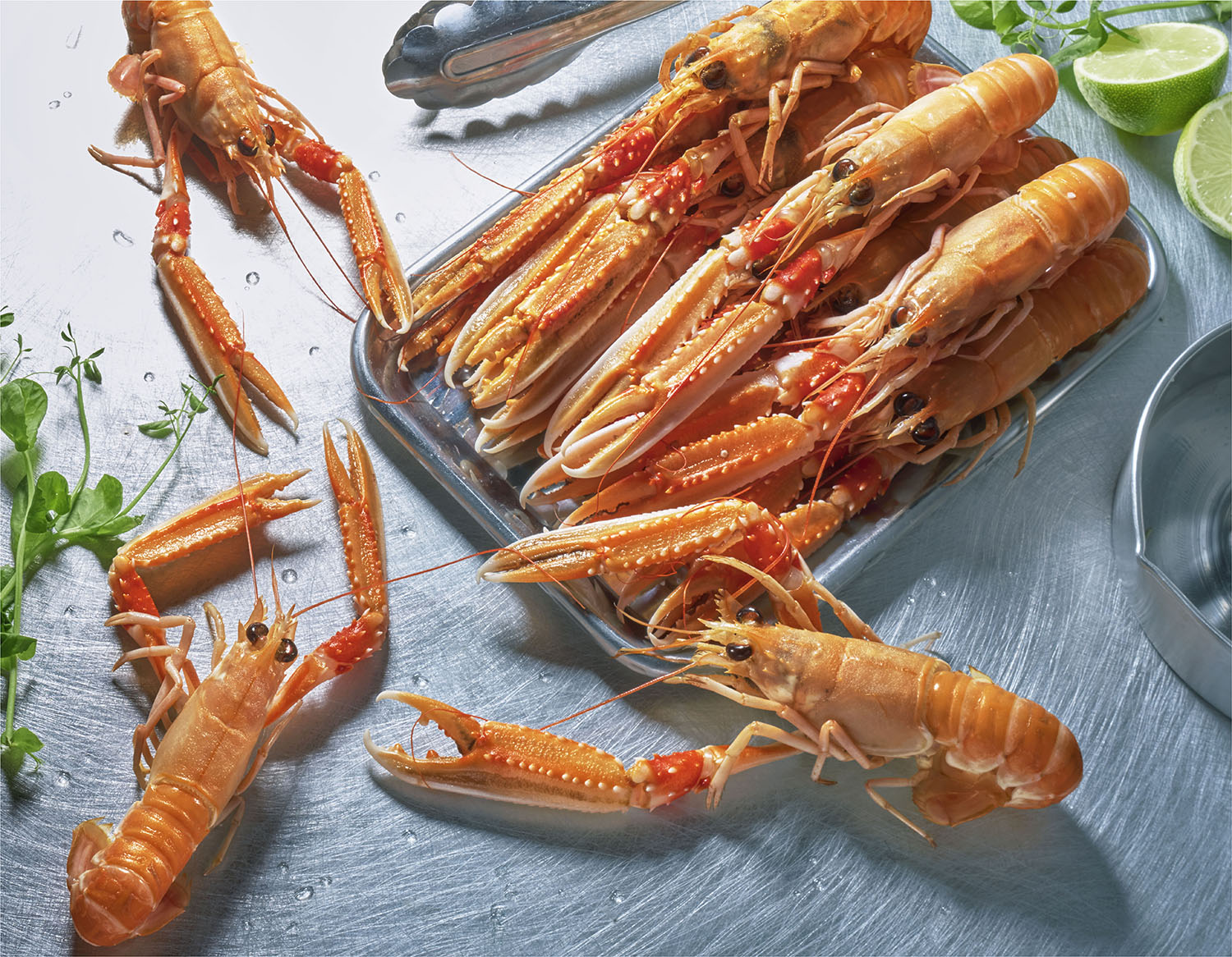 Langoustines