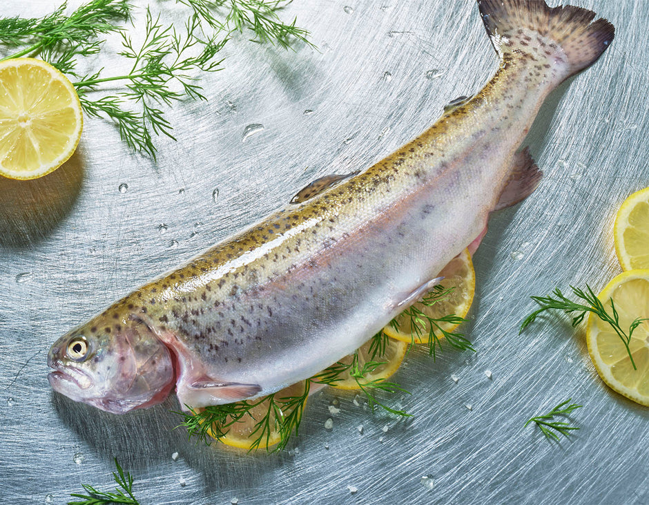The Fishlovers | Alle Producten – Page 2 – The FishLovers