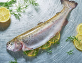 Forel heel