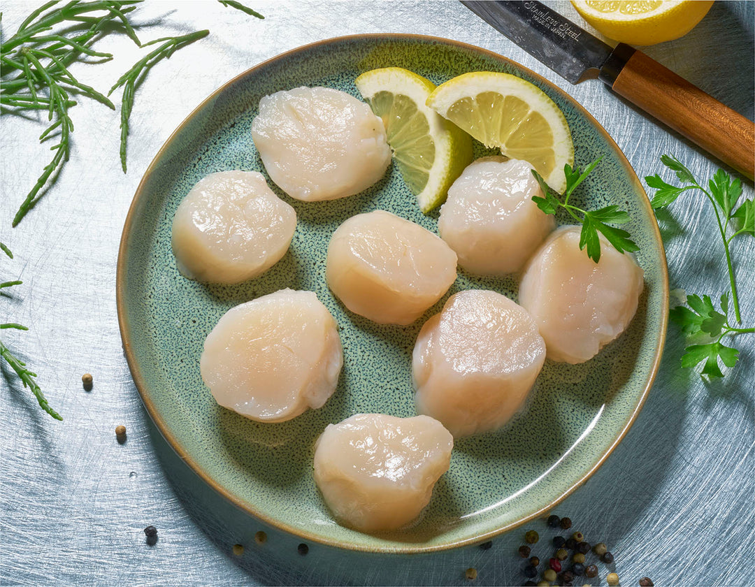 Coquilles met Zeekraal