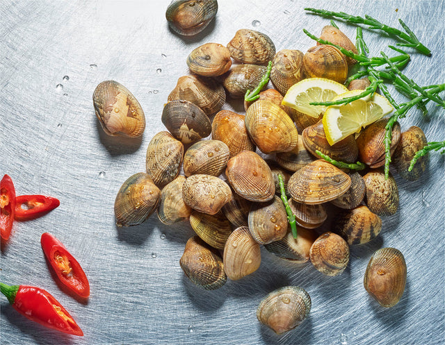 Vongole