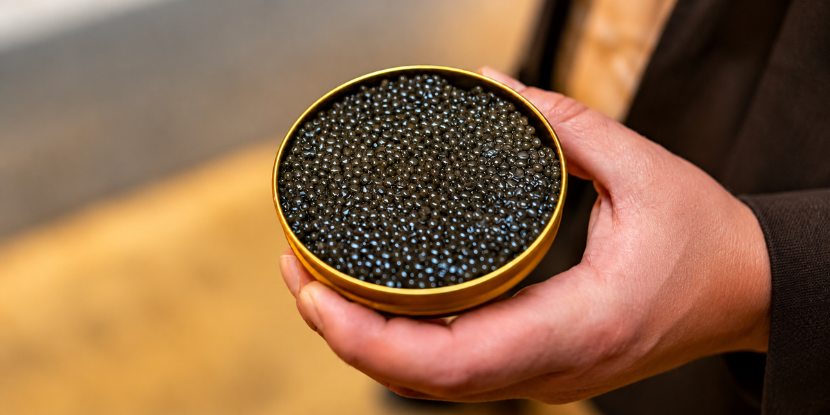 Twee handen houden een geopend gouden blik vast gevuld met glanzende zwarte kaviaarkorrels. De Baeri Classic kaviaar van The Fishlovers, afkomstig van House of Caviar, gefotografeerd van bovenaf op een warme houten achtergrond.