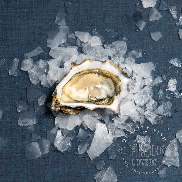 Irish Supreme oester nr.3 - 12/24 st.
