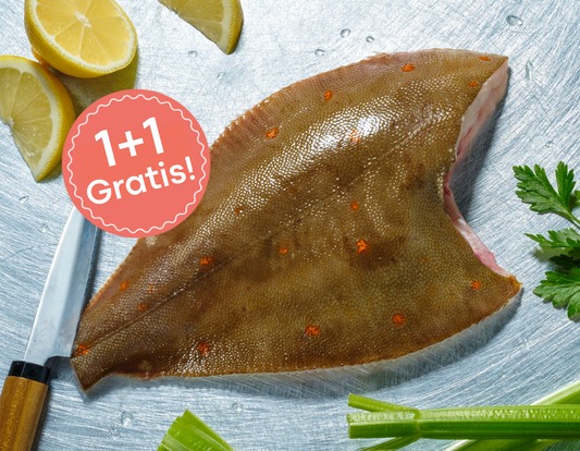 Schol Panklaar 1+1 GRATIS!
