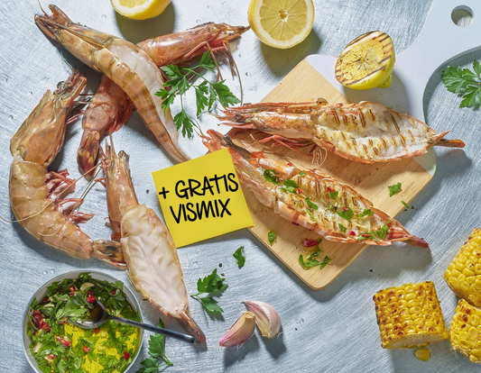 Split Gamba + GRATIS Vismix!