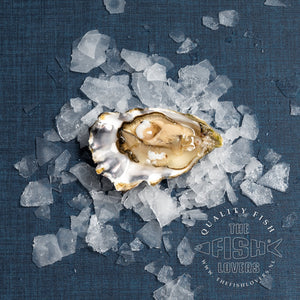 Normandie fines oester